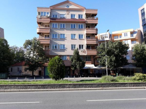 AP Apartment near Center Park